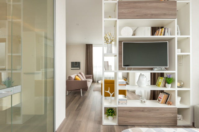modern-living-room-with-a-tv-shelf-divider-books-decor-and-a-cozy-seating-area
