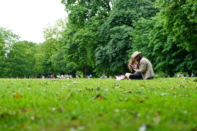 person sitting in a park reading a book